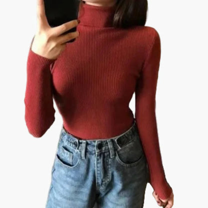 Women's Turtleneck Sweater Long Sleeve Basic Style – Ideal for Everyday and Office